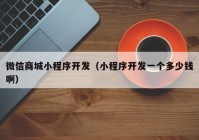 微信商城小程序開發(fā)（小程序開發(fā)一個(gè)多少錢?。? /></a>
		</div>
		<div   id=