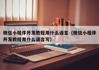 微信小程序開發(fā)教程用什么語(yǔ)言（微信小程序開發(fā)教程用什么語(yǔ)言寫）