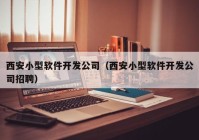 西安小型軟件開(kāi)發(fā)公司（西安小型軟件開(kāi)發(fā)公司招聘）