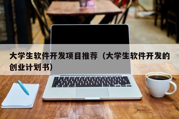 大學生軟件開發(fā)項目推薦(大學生軟件開發(fā)的創(chuàng)業(yè)計劃書)